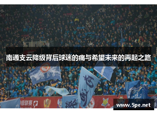 南通支云降级背后球迷的痛与希望未来的再起之路