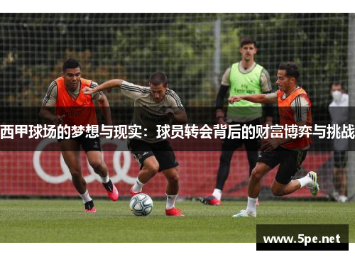 西甲球场的梦想与现实:球员转会背后的财富博弈与挑战 西甲球场的梦想与现实:球员转会背后的财富博弈与挑战